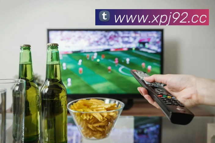 App Interface Preview