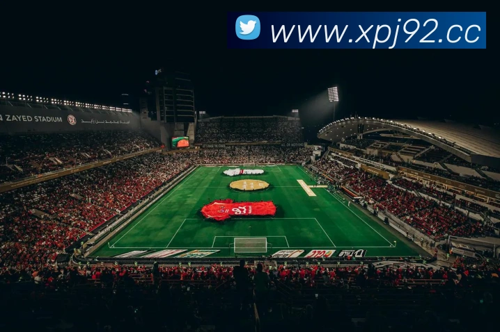 数据防护可视化